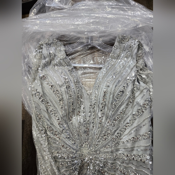 Chicas Elegant Silver Evening Gown - Picture 8 of 12